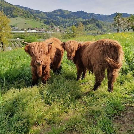 Ferienhof Vordere Alm Oberkirch  Exterior foto