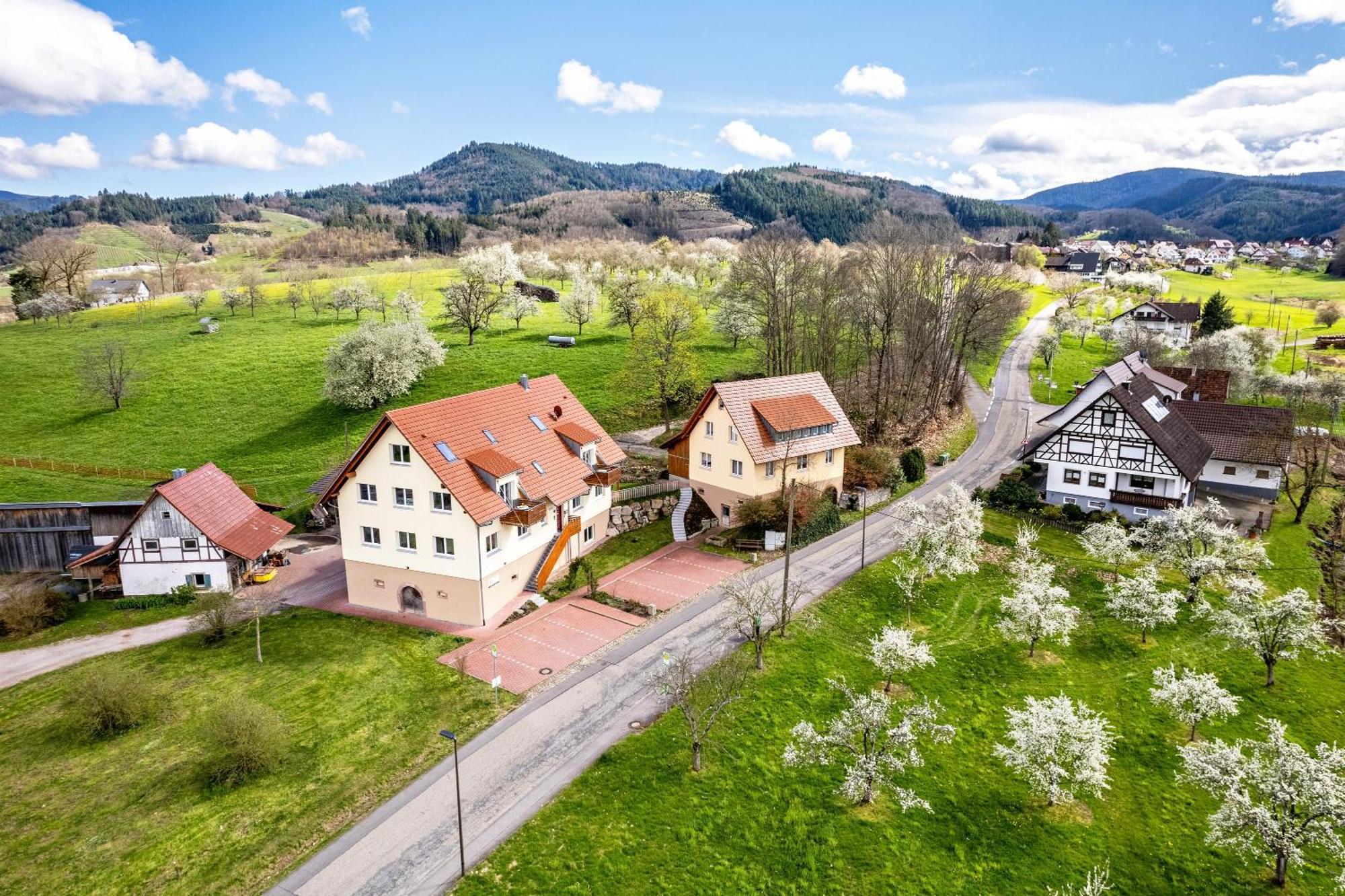 Ferienhof Vordere Alm Oberkirch  Exterior foto